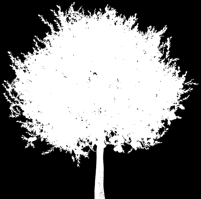 Media Tree Image